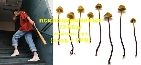 каннабис Арсеньев