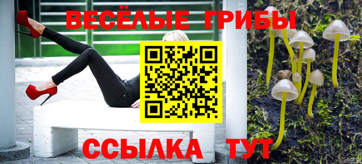 Псилоцибиновые грибы ЛСД  Галлюциногенные грибы мухоморы  Вход с VPN  Саров 